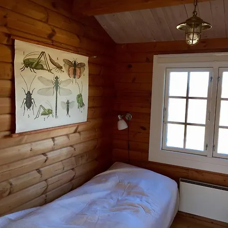 Vakantiehuis Holiday Lonstrup Harerenden 076296 *