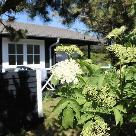 Vakantiehuis Holiday Lonstrup Harerenden 076296 *